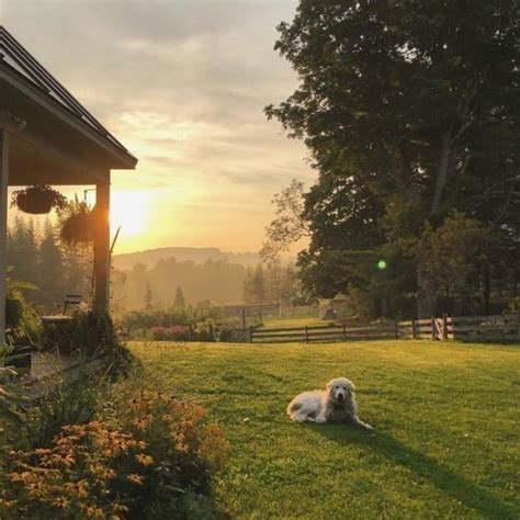 Farmhouse Happy On Instagram “morning Sunrise On The Farm Photo