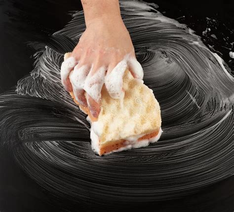 Female Hand In White Soapy Foam Hold A Wet Sponge Stock Image Image Of Housework Clean 180570133