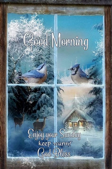 Enjoy Your Winter Sunday Good Morning Good Morning Happy