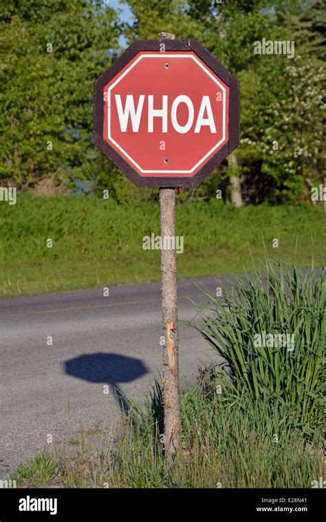 One Of Many Stop Signs In Jackson Hole Wyoming That Say Whoa Stock