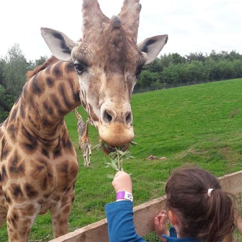 Baby Friendly Days Out In The Lake District South Lakes Safari Zoo