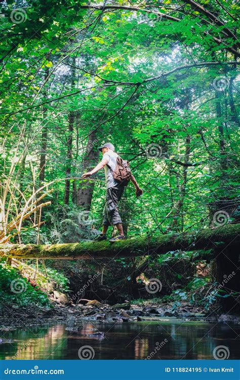Alone Man In Wild Forest Stock Image Image Of Idyllic 118824195
