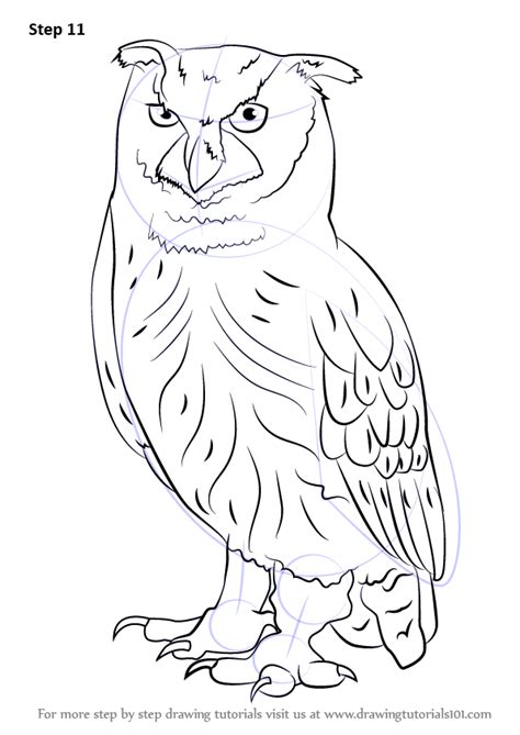 How To Draw An Eurasian Eagle Owl Owls Step By Step