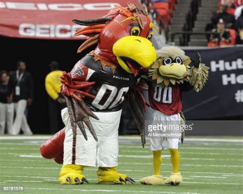 Atlanta Falcon Mascot Photos And Premium High Res Pictures Getty Images