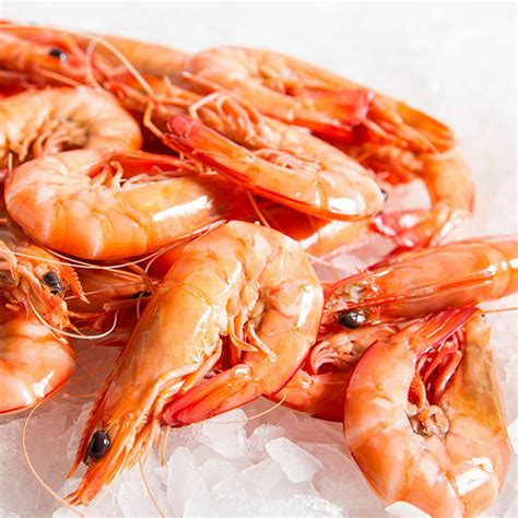 Fresh Wild Caught Queensland Prawn S Crab S Archives Page Of