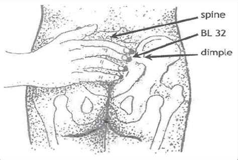 Bladder 40 (bl 40) can treat knee pain, simply based on it's location, but it does a whole lot more than that! Acupressure point. (Reference: http ...