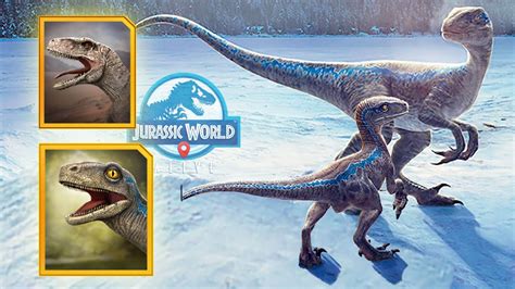 Atrociraptor Beta La Hija De Blue Y Mas Los Nuevos Dinosaurios De Dominion En Jurassic World