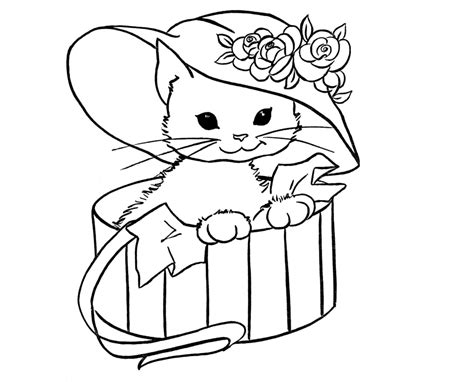 Sweet Cat Coloring Colour Drawing Hd Wallpaper Colours Drawing Wallpaper