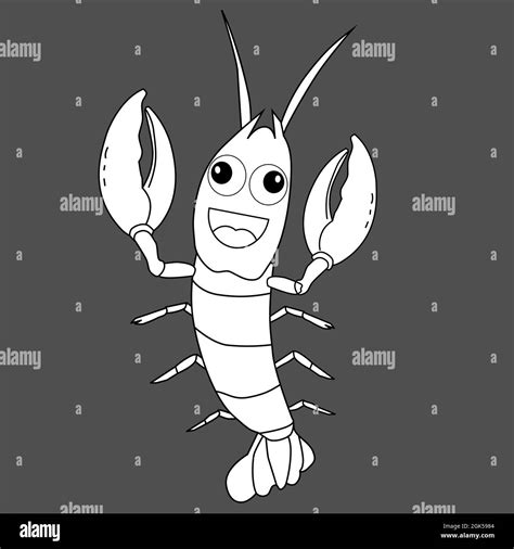 Invertebrado Mar Rojo Imágenes De Stock En Blanco Y Negro Alamy