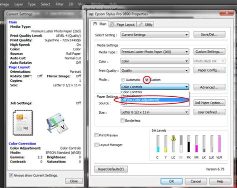 How To Print Basic Instructions For Epson Photonews Magazine