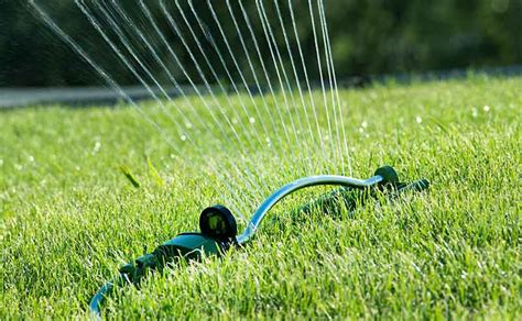 How Often Should You Water New Zoysia Sod A Good Garden