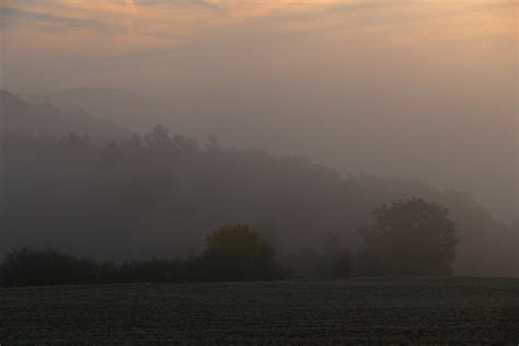 Landscape Fog Dawn Free Photo On Pixabay Pixabay