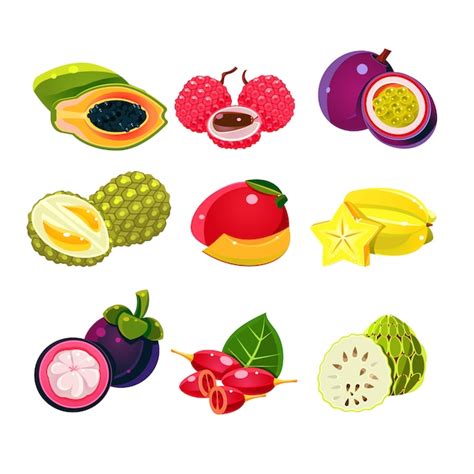 Premium Vector Colourful Exotic Tropical Fruits Set