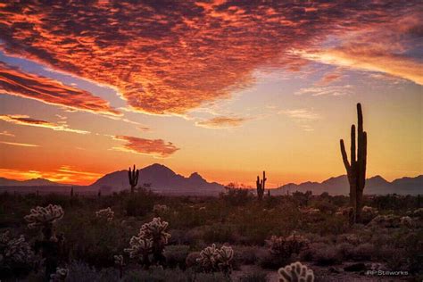 110% soundation \\ hi guys! Phoenix, Arizona sunset | Adventure is out there, Scenery ...
