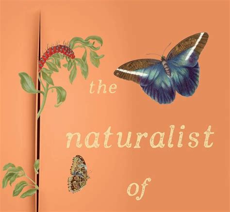 The Naturalist Of Amsterdam Melissa Ashley Cass Moriarty Author