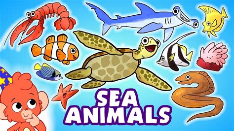 Learn Sea Animals For Kids Ocean Animals Names Cartoon Club Baboo