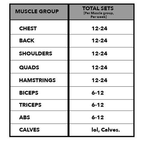 How Many Exercises Per Muscle Group For Mass Exercise Poster