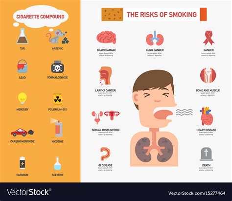 Risk Of Smoking Infographics Royalty Free Vector Image