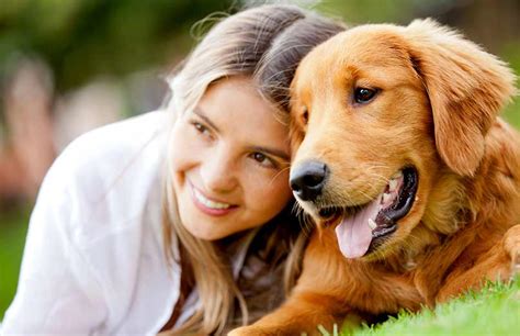 Walmart pet insurance is managed by petplan. pet-insurance