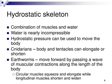 Chapter 46 The Muscular Skeletal System And Locomotion Ppt Download