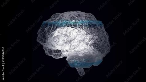3d Render Xray Style Image Of Human Brain Rotating Human Brain Being