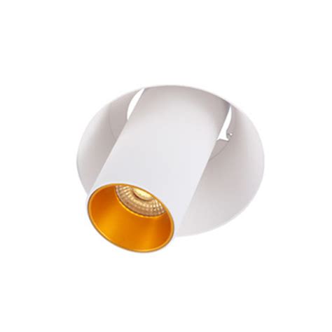 Trimless Adjustable Downlight Recessed Lighting