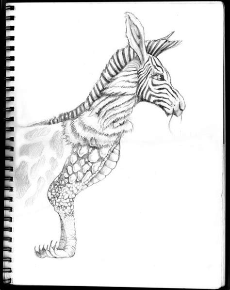 Hybrid Imaginary Animal Sketch Cartoon Animal Sketches Animal