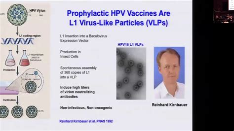 Preventing Hpv Associated Cancers By Vaccination