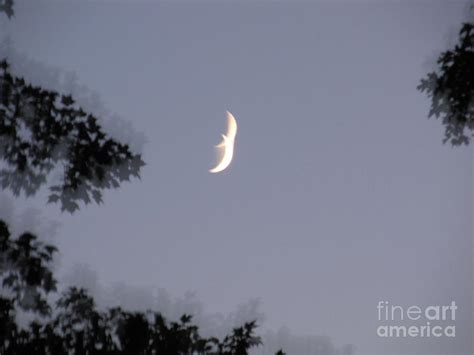 Double Crescent Moon By Tina M Wenger
