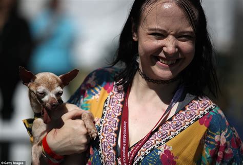 Looking Ruff Scamp The Tramp Wins The Worlds Ugliest Dog Contest