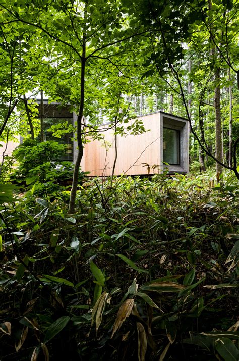 Gallery Of House In The Forest Florian Busch Architects Media 6