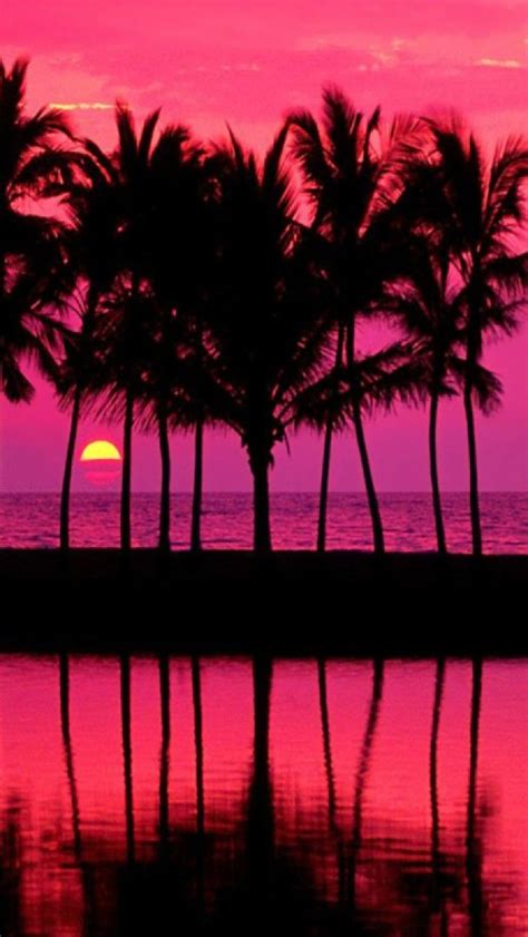 Hawaiian Pink Sunset Over The Beach Hd Wallpaper Backiee