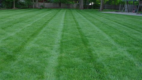 Lawn Striping and Lawn Mowing Tips - LAND DESIGNS UNLIMITED LLC