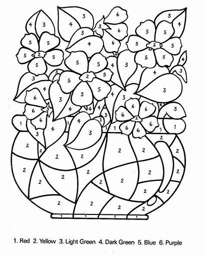 Coloring Number Pages Printable Flowers