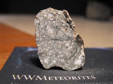Dhofar 007 Eucrite Cumulate Full Slice Achondrite Meteorite 25×