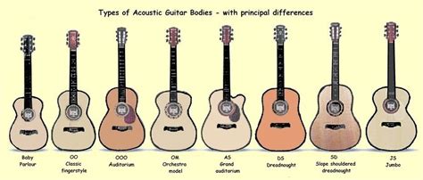 How To Buy An Acoustic Guitar Skyline Music