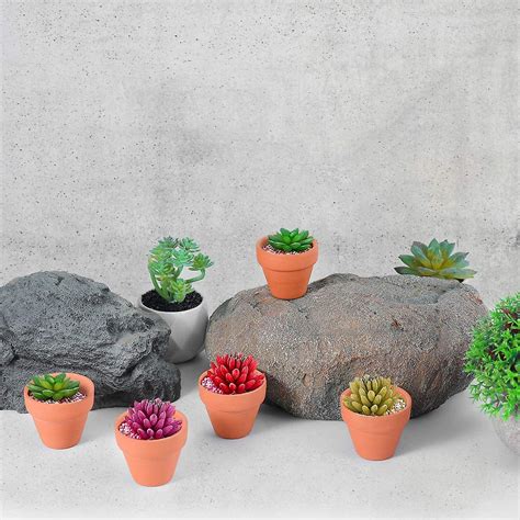 Mini Clay Pots Tillverkad Av Terrakotta 20 Stycken Liten Terrakotta
