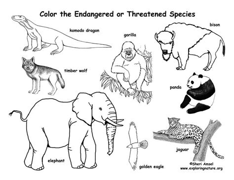 Animal coloration is the general appearance of an animal resulting from the reflection or emission of light from its surfaces. Endangered Animals Coloring Page