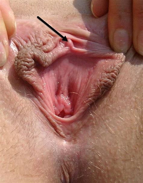 Klitoris I Erotik Lexikon Von E Wie Erotik De