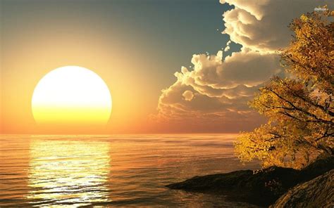 Rising Sun And Sunflowers Wallpapers Wallpaper Cave