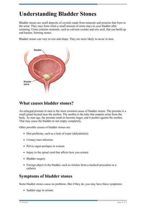 Text Understanding Bladder Stones Healthclips Online