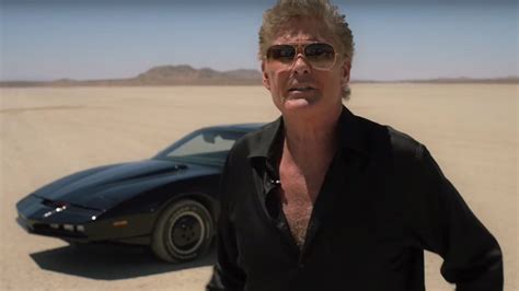 You Could Own A Giant David Hasselhoff
