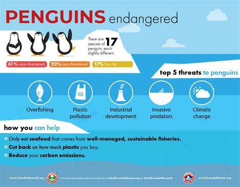 Save The Penguins Possible Solutions To Save Penguins Foe