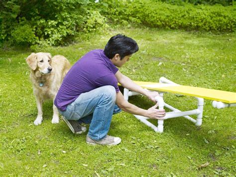 How To Build A Diy Dog Agility Course In 2020 Dog Agility Course Dog