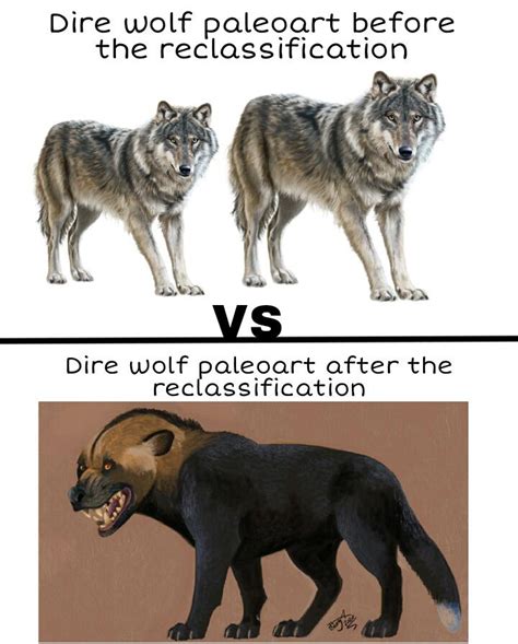 Im Just Loving The Diversity In Dire Wolf Reconstructions These Days