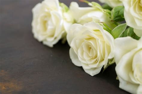 Premium Photo White Blooming Roses On A Dark Background