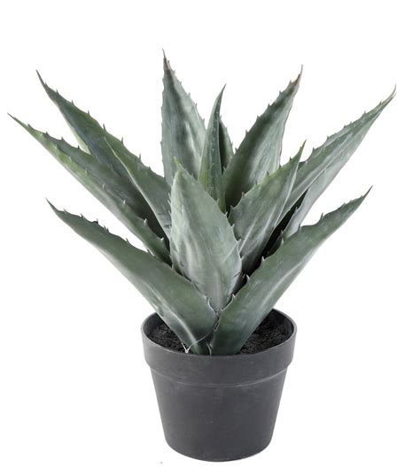 Agave Artificial Artificial Plant And Artificial Plant Outdoor
