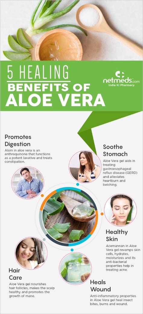Surprising Health Benefits Of Aloe Vera Gel Infographic Netmeds
