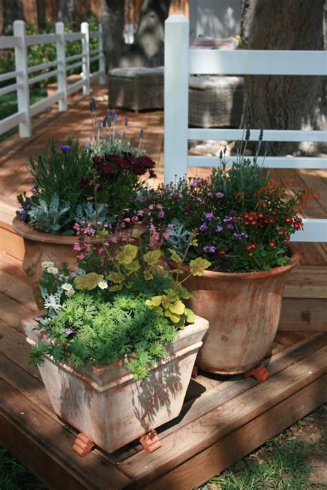 The Polished Pebble Container Gardening Pretty Perennials