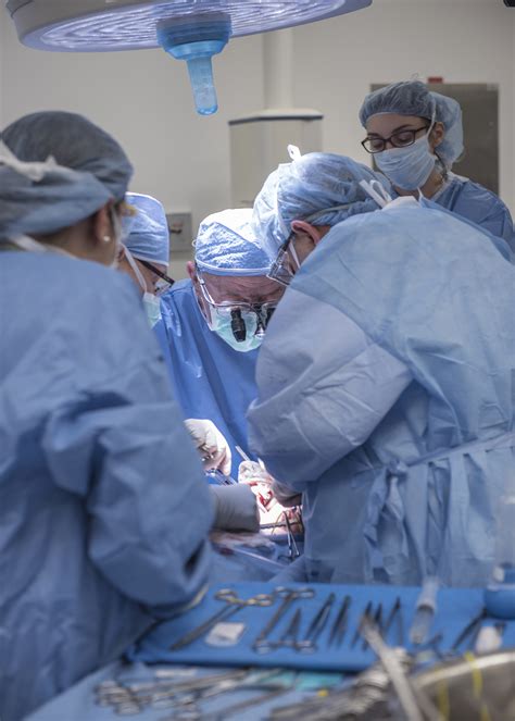 cleveland surgeons perform nation s first uterus transplant